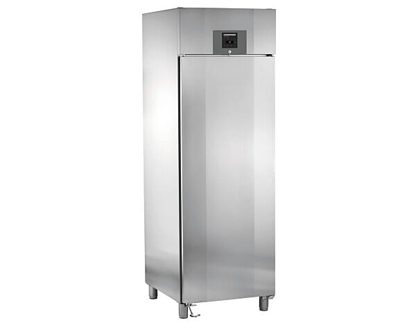 Liebherr GGPv 6590 Single Door ProfiLine Upright Freezer, 597